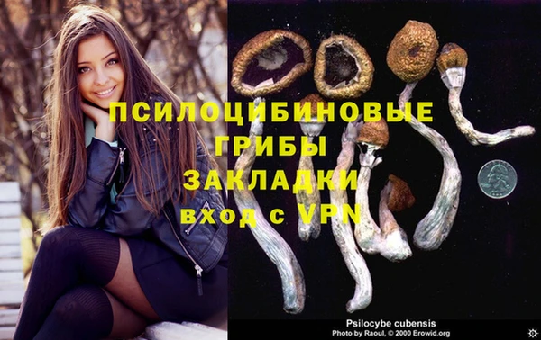 гашик Елабуга