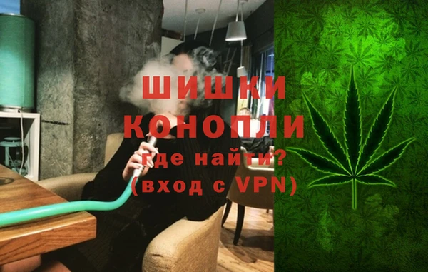 ALPHA PVP Елизово
