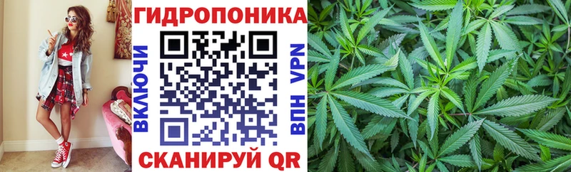 Конопля гибрид  сколько стоит  Мостовской 